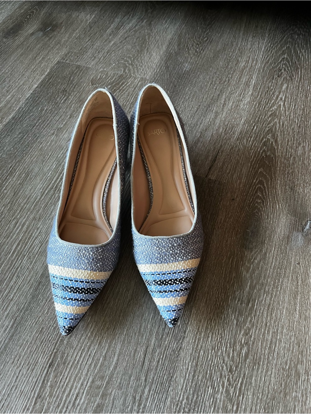 Pointed Toe Blue Striped Women's Flats